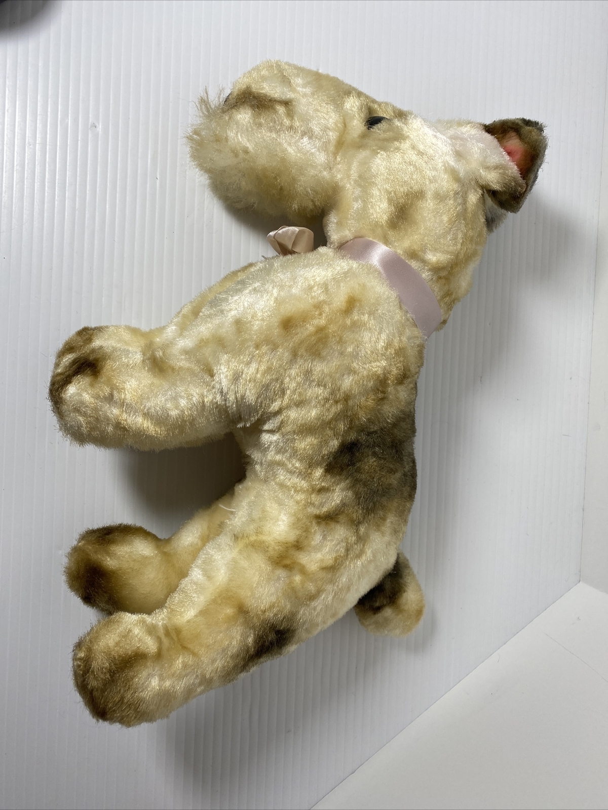 Peluche Ancienne Steiff – Fox Terrier En Mohair, Circa 1950 (collection)