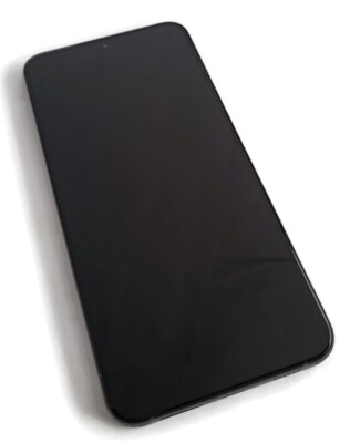 NEW ORG LCD Display Assembly Digitizer + Frame for Samsung Galaxy S22 + Plus