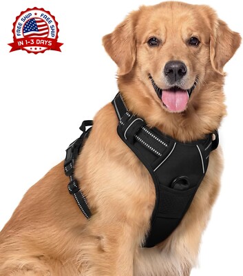 Arnes Para Perro Chaleco Mascotas Accesorio De Correa Delantera/Size X  Large