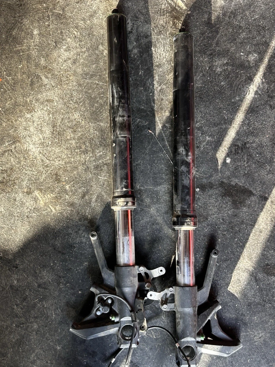 Motorcycle Fork Tubes for Kawasaki Ninja ZX14 for sale | eBay
