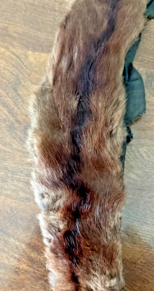 Vintage red fox collar wrap 26" long no fasteners on ends - Image 2 of 3