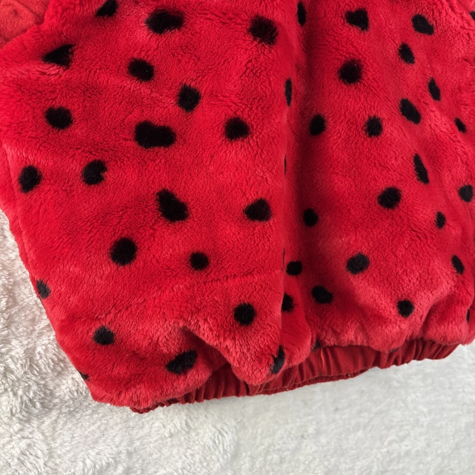 Fantasia de Halloween infantil tamanho 12-24 meses Lady Bug roupa de pelúcia fofa! - Imagem 4 de 4