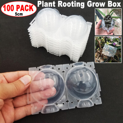 10/20/50/100 Visible Plant Root Graft Balls Clear Propagation Layering Pod Boxes