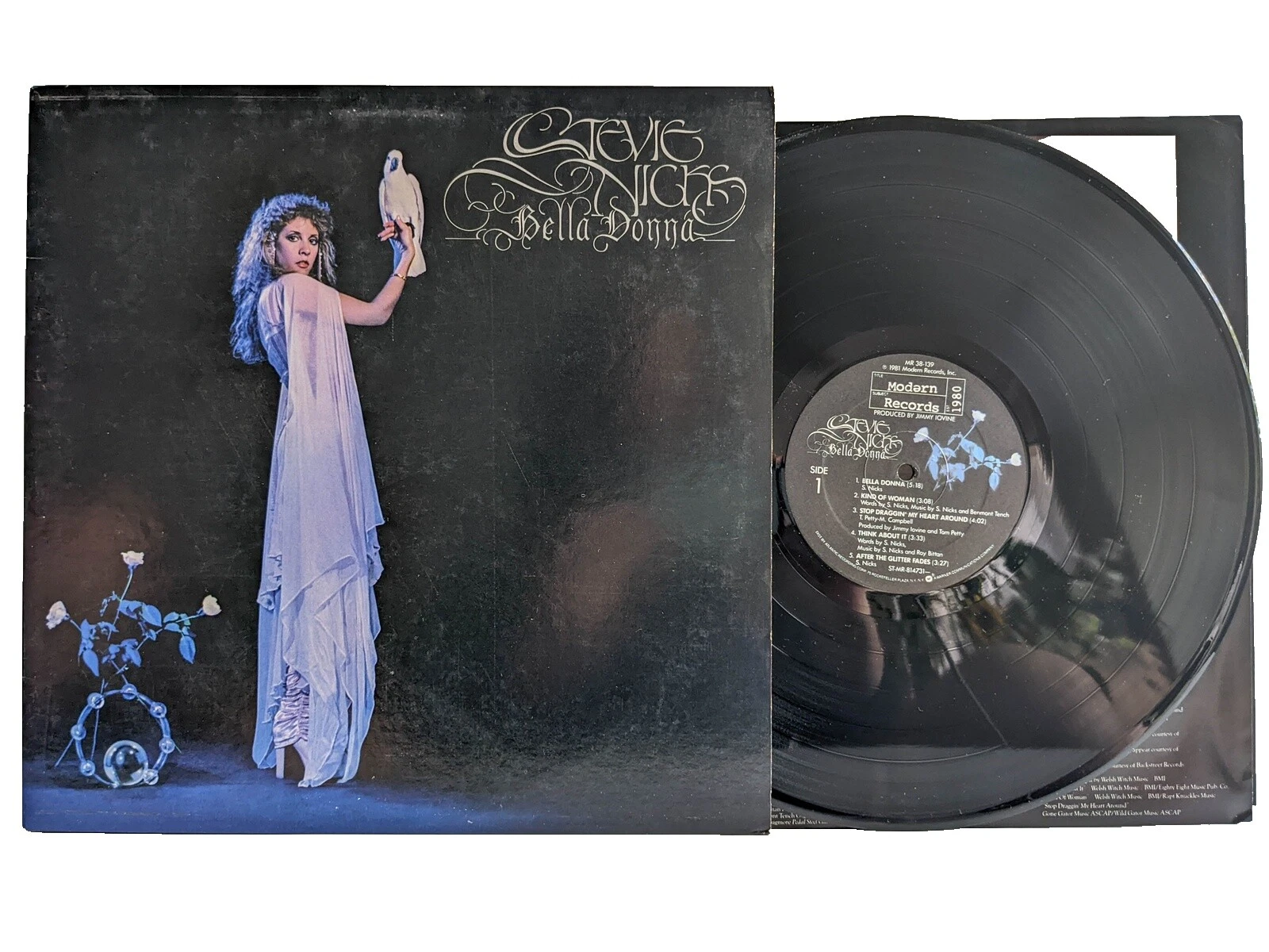 Stevie Nicks Very Good Plus (VG +) Sleeve Vinyl Records