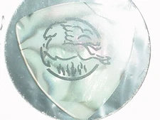 38 SPECIAL RaRe Logo & Older 80's Band Concert Tour GUITAR PICK Hold On Loosely