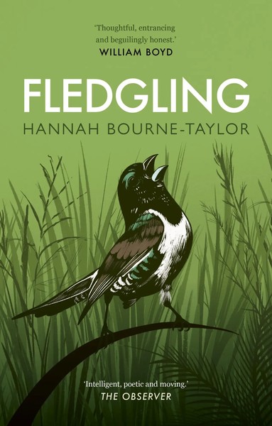 Hannah Bourne-Taylor | Fledgling | Taschenbuch | Englisch (2023) | Aurum-image