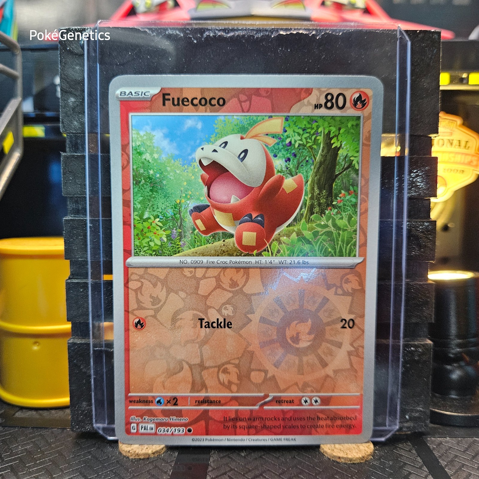 Fuecoco Paldea Evolved Reverse Holo Pokémon TCG 034/193 Scarlet & Violet Common