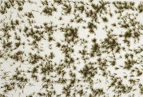 Paisaje de nieve Busch 1317 todo nuevo embalaje original | Condition: Neu