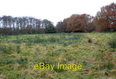 Foto 6x4 Honing Common East Ruston Diese leere Viehweide ist Teil c2008