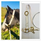 IN-HAND HALTER WHITE LEATHER BRASS BUCKLES WITH REIN & BRASS CHAIN *FREE POST*