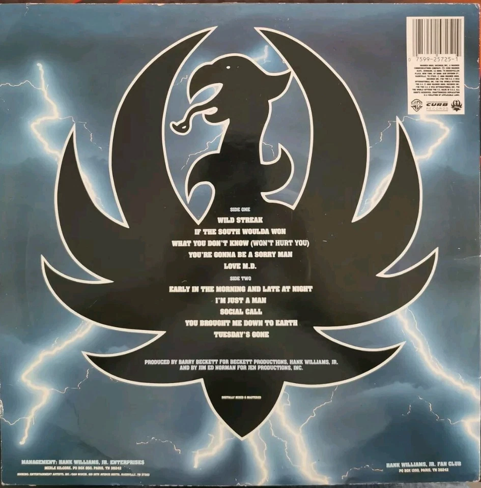 Vinyl LP Hank Williams Jr - Wild Streak VG 1-25725 US Country - Image 2 of 4