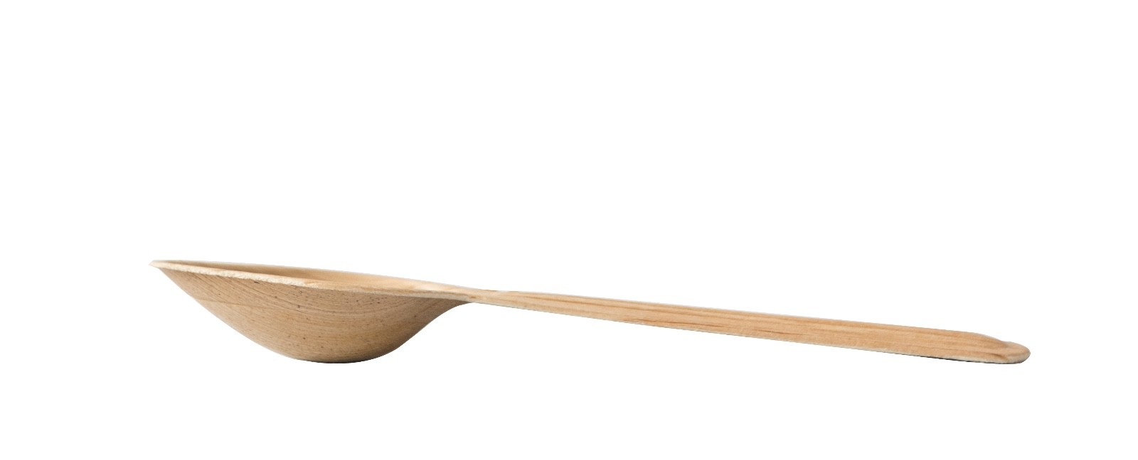 large image 5