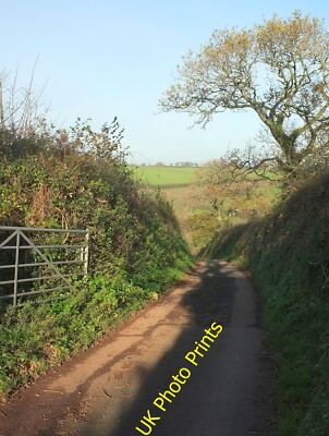 Photo 6x4 Oak Hill Cross Road Teignmouth Dropping down the hill from the  c2015