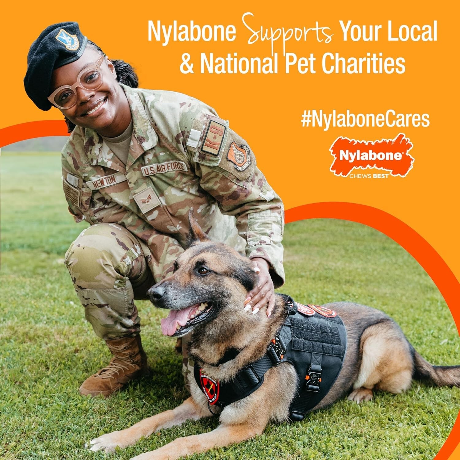 Nylabone Healthy Edibles WILD Bison Flavor Chew Treats, Medium 2pk