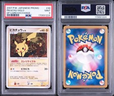 Pikachu - 048/DP-P 048/DP-P DP-P Promotional Cards Holo (Japanese