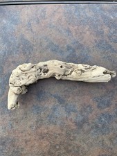 Natural Driftwood for Plants Terrarium Taxidermy Art Projects