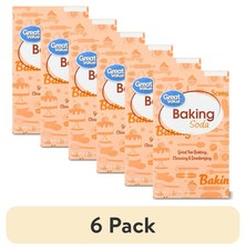 6 Pack Great Value Baking Soda 4 lb Bulk Baking Essential
