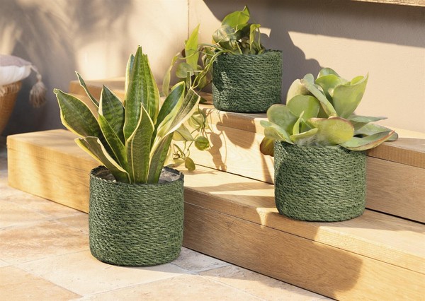 Seegras Pflanzkorb Blumentopf GrüN 3Er Set Blumen Pflanz Korb KüBel Garten-image