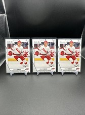 2023-24 O-Pee-Chee OPC #234 Brady Skjei, Carolina Hurricanes HOCKEY Lot Of 3