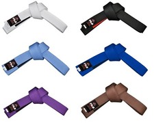 Nuova cintura Fuji Sports Jiu Jitsu Brazilian JiuJitsu MMA BJJ adulto Gi Rank 