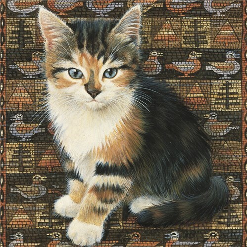 Razzle - Fine Art Blank Greeting / Birthday Card - Tortoiseshell Kitten Cat Cats