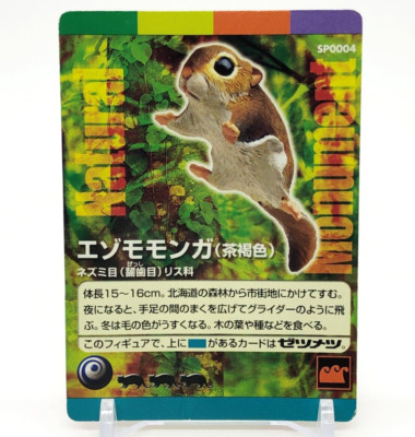 Eurasian Flying Squirrel Japanese natural monument trading card TCG Kaiyodo Rare