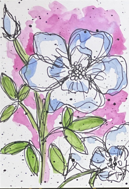 ACEO Iowa State Flower Wild Rose 