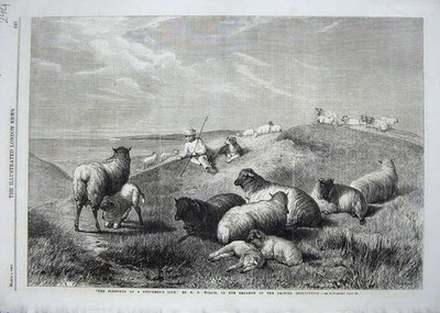 Original alter antiker Druck 1862 Hirten Leben Schaf Landtiere Mensch Hund