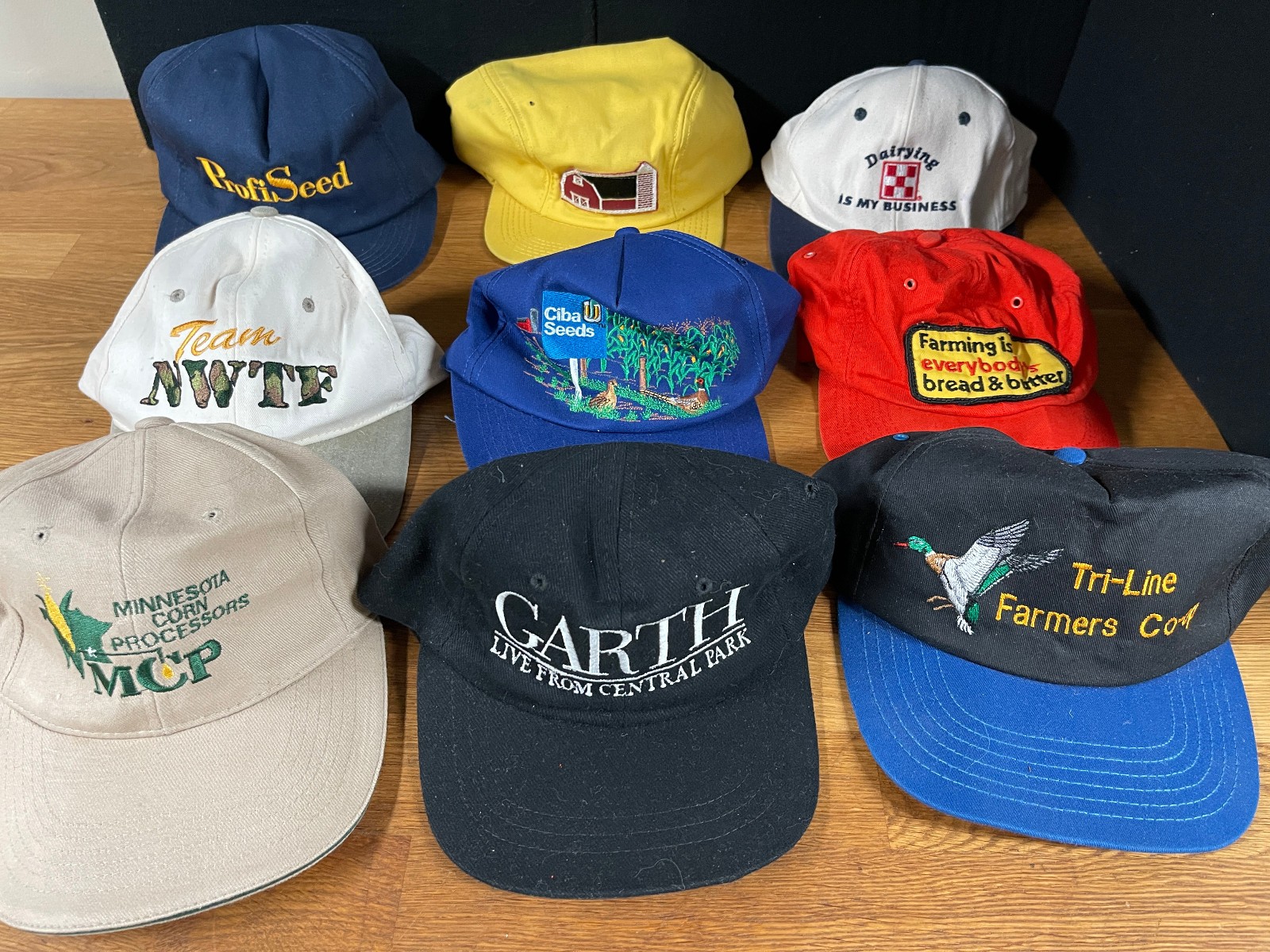 Lot 22 Assorted Baseball Style Solid Back Caps Ad… - image 2