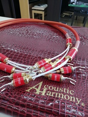 ACOUSTIC HARMONY Kou Y 1.0m High-End Speaker Cable Works Tested Japan TMB00 2.0