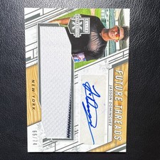 Panini 2019 Elite Extra Edition Jasson Dominguez Rookie Patch Auto /74 