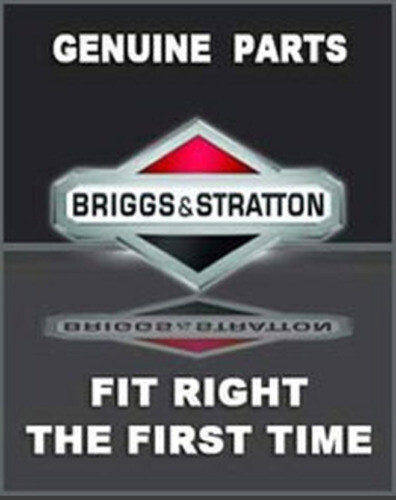 Decalcomanie Originale Motore Rasaerba Tagliaerba BRIGGS & STRATTON - Foto 11