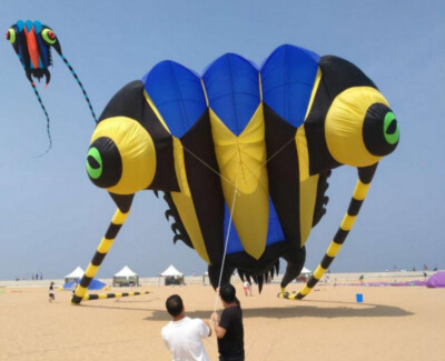 3D 7sqm 1 Line Stunt Parafoil Trilobites POWER Sport Kite outdoorEasy to Fly