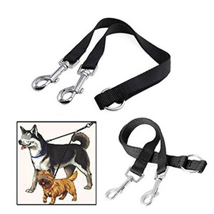 dog leash with two clips