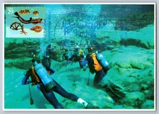#2865 Wonders of the Sea Scuba Diver Maxi Card