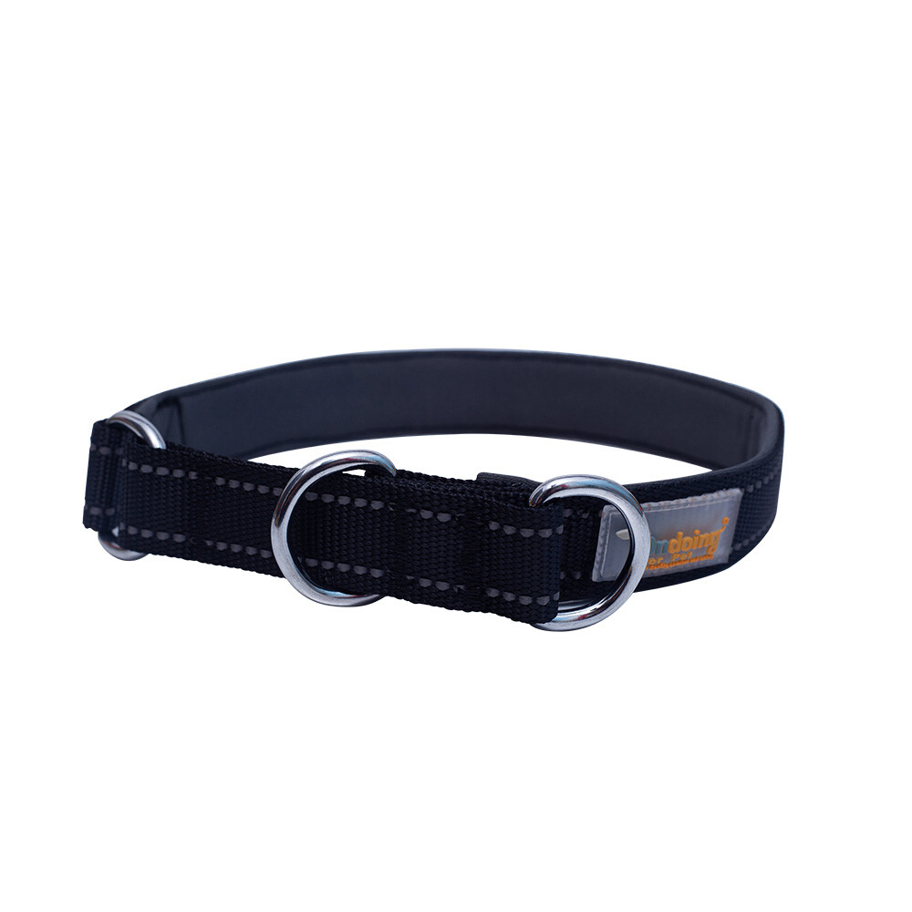 Martingale Dog Collar Pet Training Collar P Chain Adjustable Durable