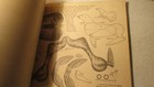 Bild 12 von 12