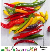 Hot Peppers CAYENNE FIESTA BLEND 30,000+ Scovilles Capiscum Non-GMO 90 Seeds!