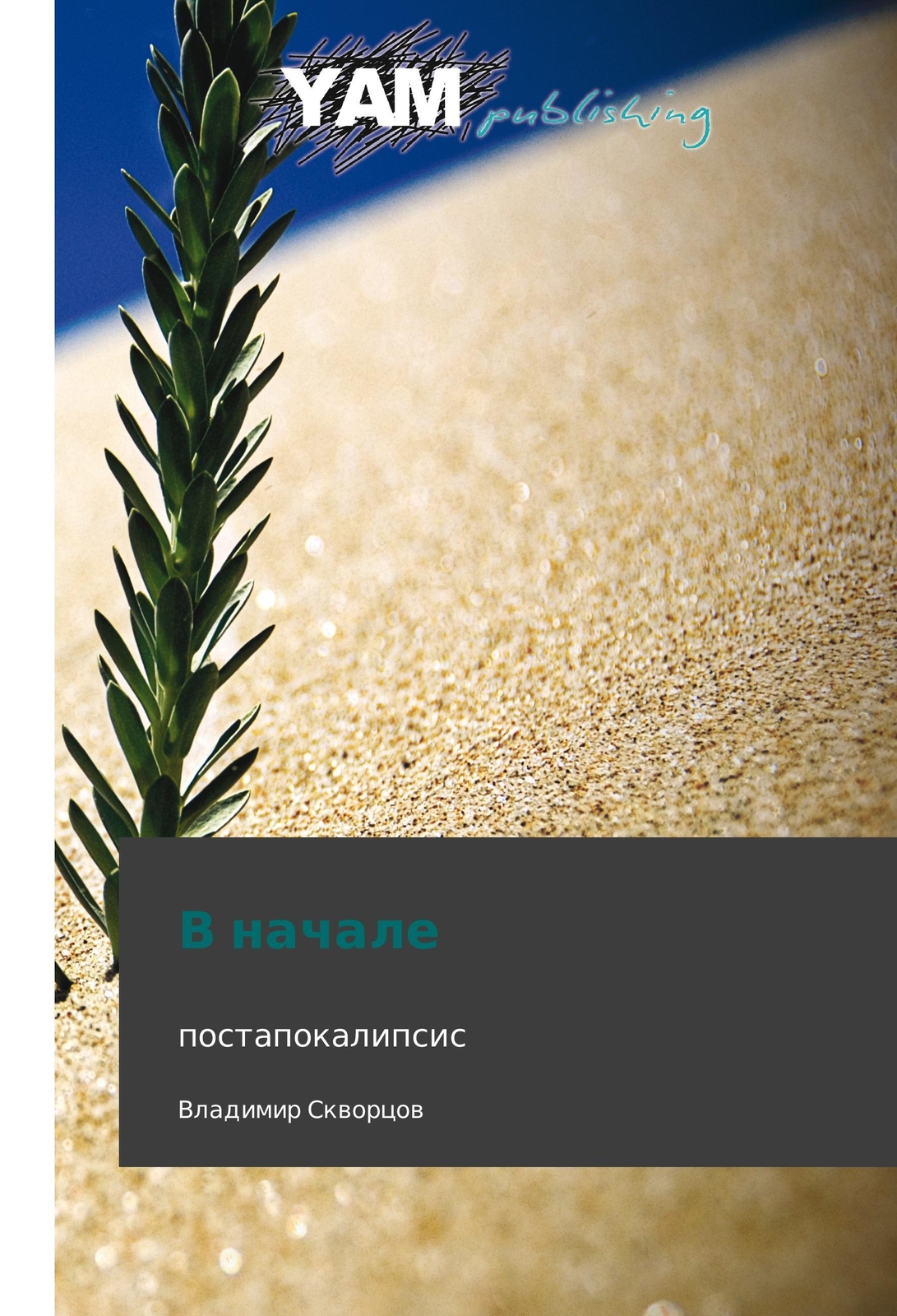 Thumbnail - Vladimir Skvortsov | V Nachale | Taschenbuch | Russisch (2014) |