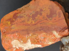 Nevada Lapidary Rough Lot 7.5 LB Agate Jasper Rhyolite Variscite Collector Mix — photo 10