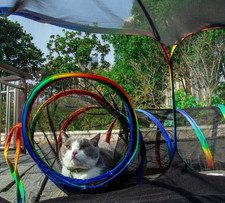 Outdoor Cat Enclosure Playpen Tunnel Tent Portable Pet Exercise Pen Carry Bag