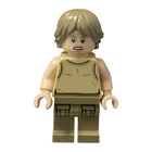LEGO Star Wars Luke Skywalker Dagobah Minifigure (sw0907) Yoda's Hut 75208