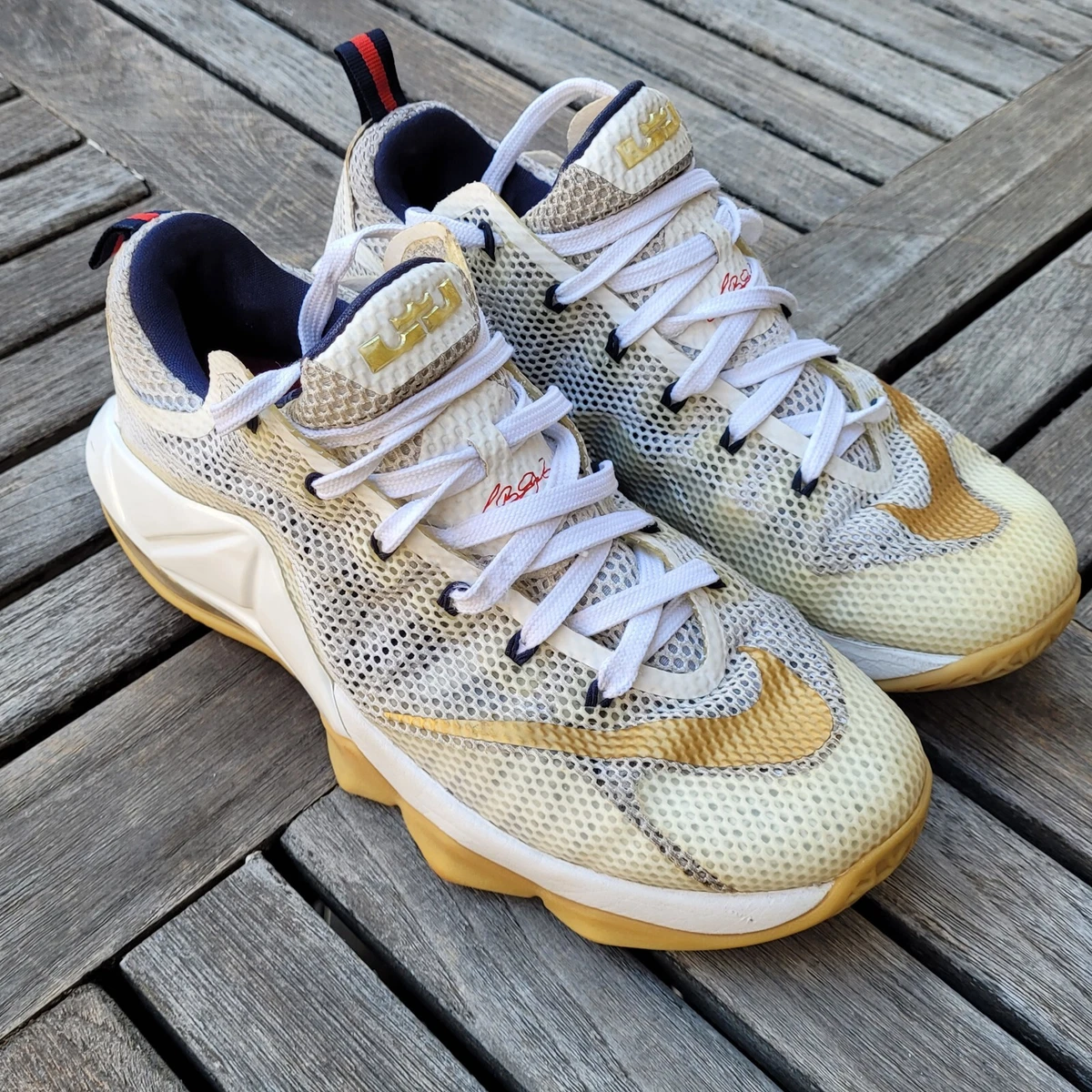 Nike LeBron XII Low Sneakers for Men for Sale | Authenticity 