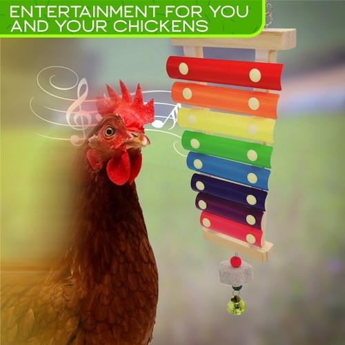 6 Pack Chicken Toys – with Xylophone, Chicken Swing, Vegetable Feeder, Sign, toy - 第 6/10 張圖片