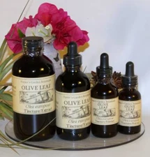 OLIVE LEAF Antiviral Candida Yeast Wildcraft Traditional Folk Remedy Tincture 