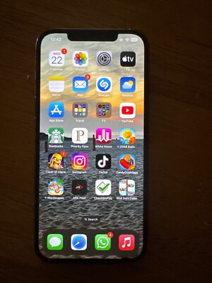 Apple iPhone 12 Pro Max with TikTok installed -128 GB - Blue (Unlocked)