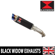 Ninja 250 Z 250 SL Auspuff Endtopf rund blaue Spitze schwarz Edelstahl BL23R