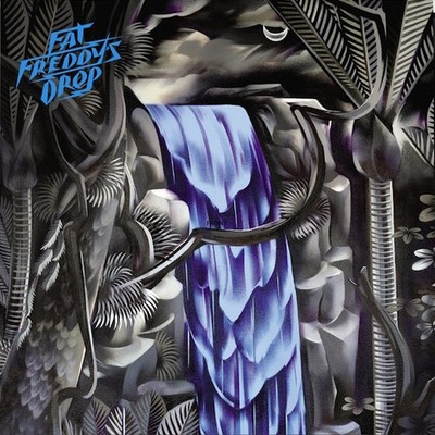 Fat Freddy's Drop - Slo Mo (Regular Cover) Vinyl 2LP NEU 09555970