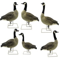 Avian X Axp Goose Decoys Fusion Honker 6 Pk. 9006 on sale Avian X Axp Goose Decoys Fusion Honker 6 Pk. 9006 on sale