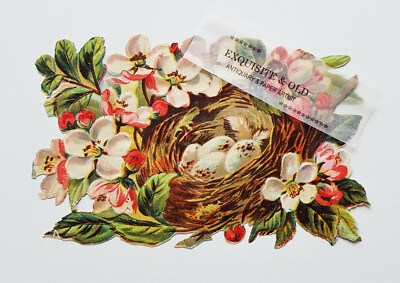 um 1900 Vogelnest Eier Blüten Baum Natur Glanzbild Oblate Prägedruck Ephemera